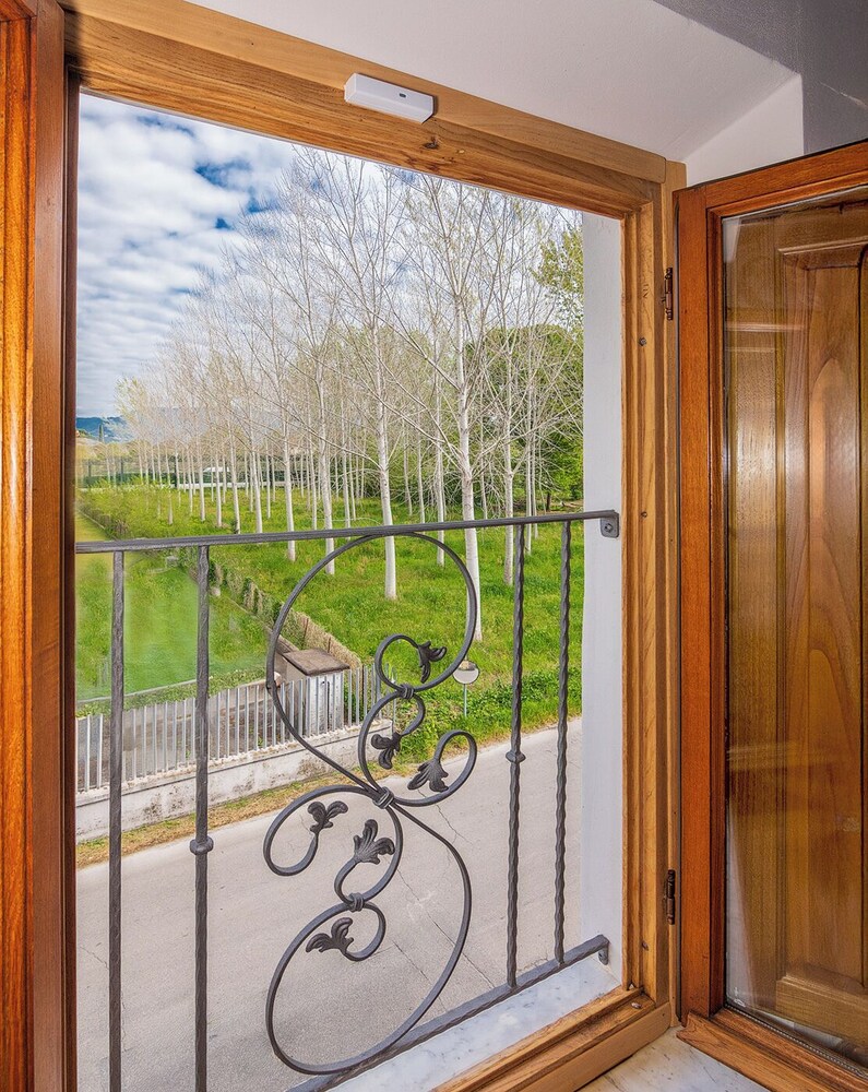B&B Toringo
