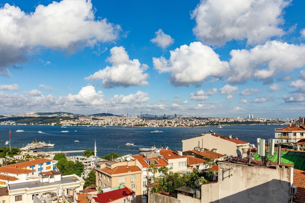 Central Apartment With Bosphorus View in Cihangir