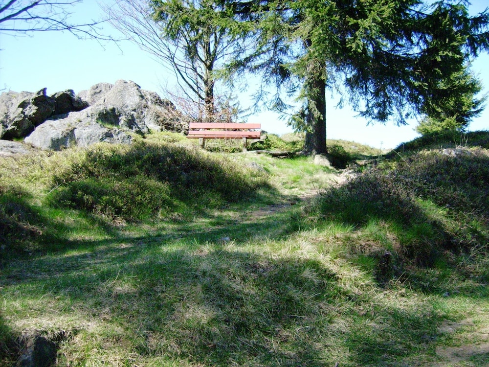 Photo 40