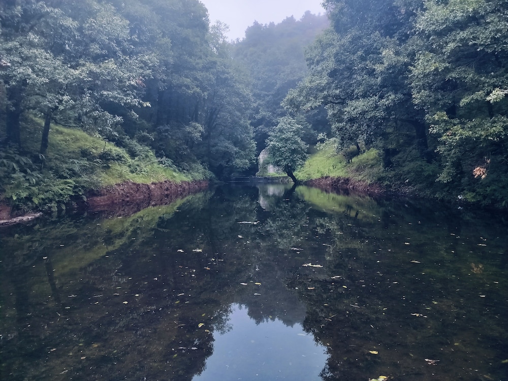 Simba Jungle Lodge, Binsar Wildlife Sanctuary