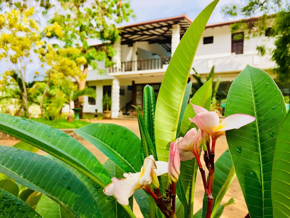 Saman Resort