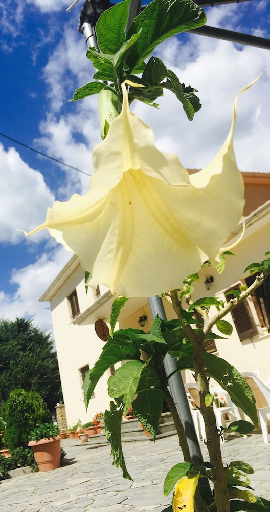 Guest House Ilektra
