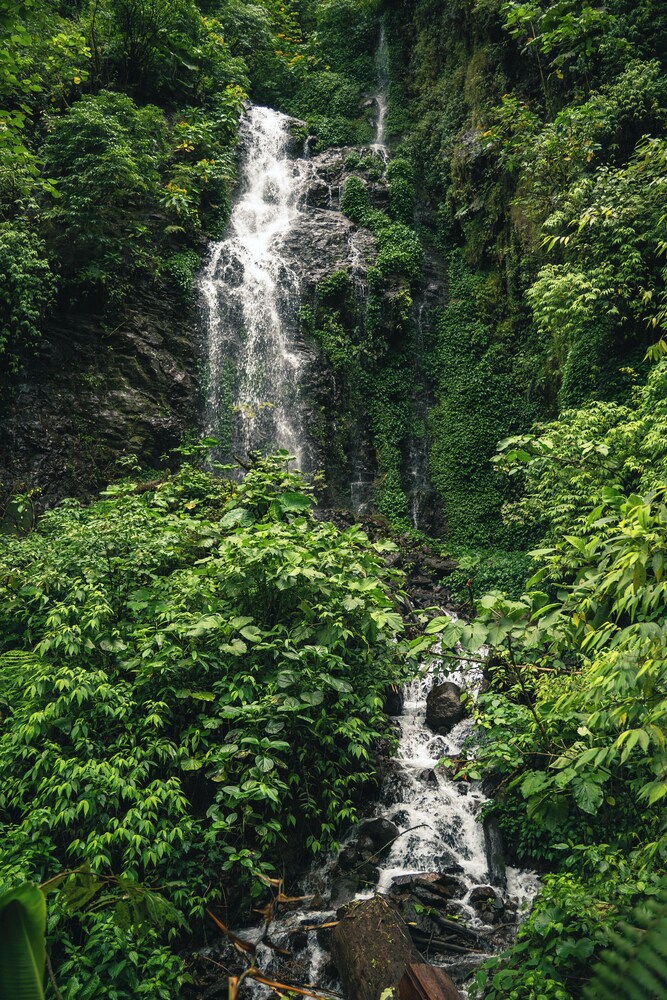 Finca Aquarius