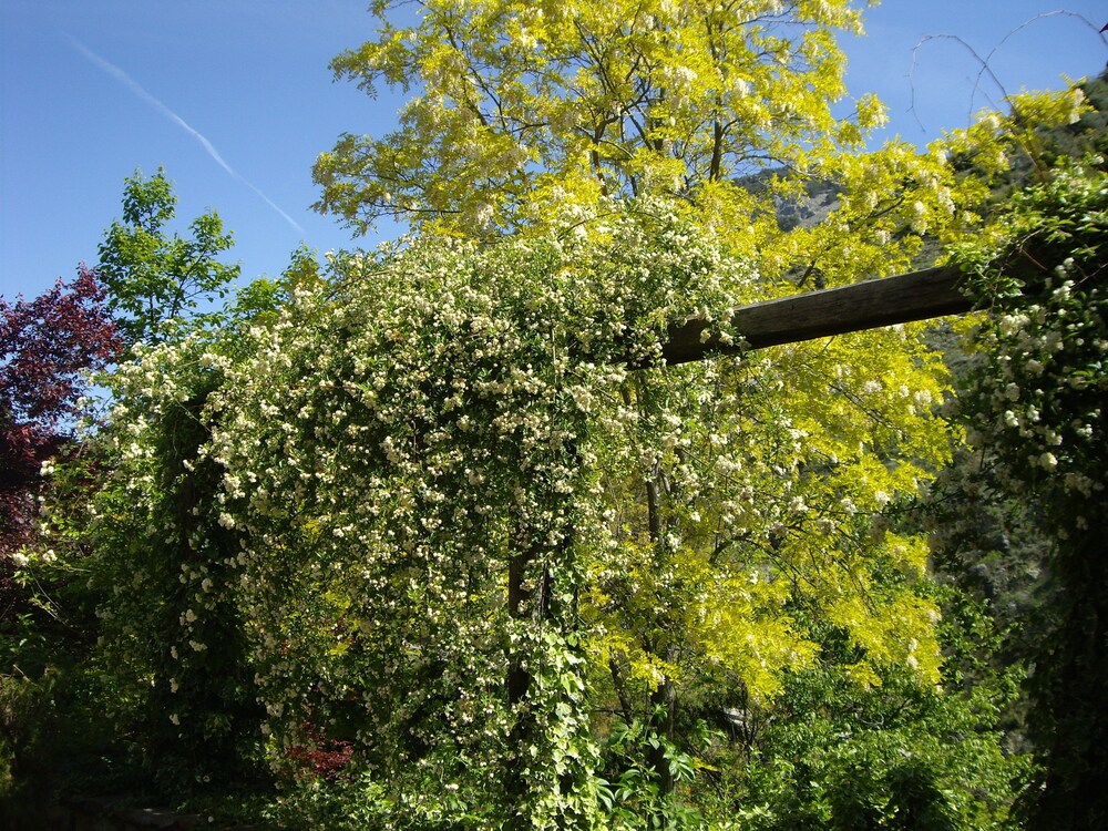 La Casita con jardín frente a la cascada