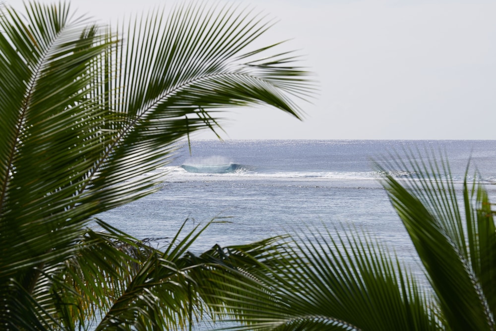 Rarotonga Villas