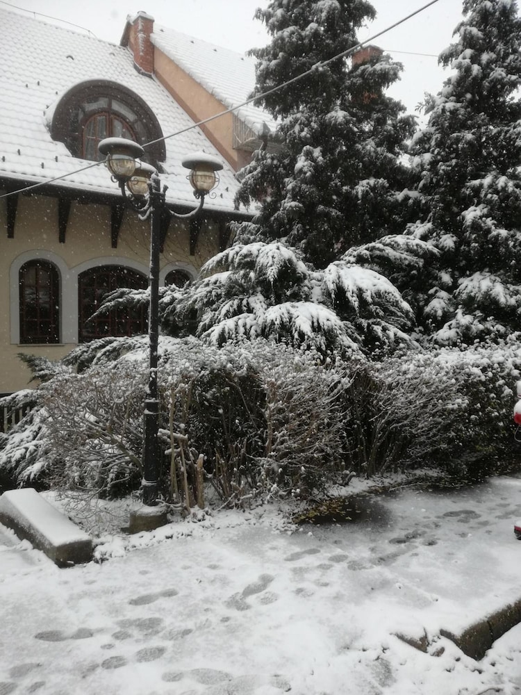 Photo 29