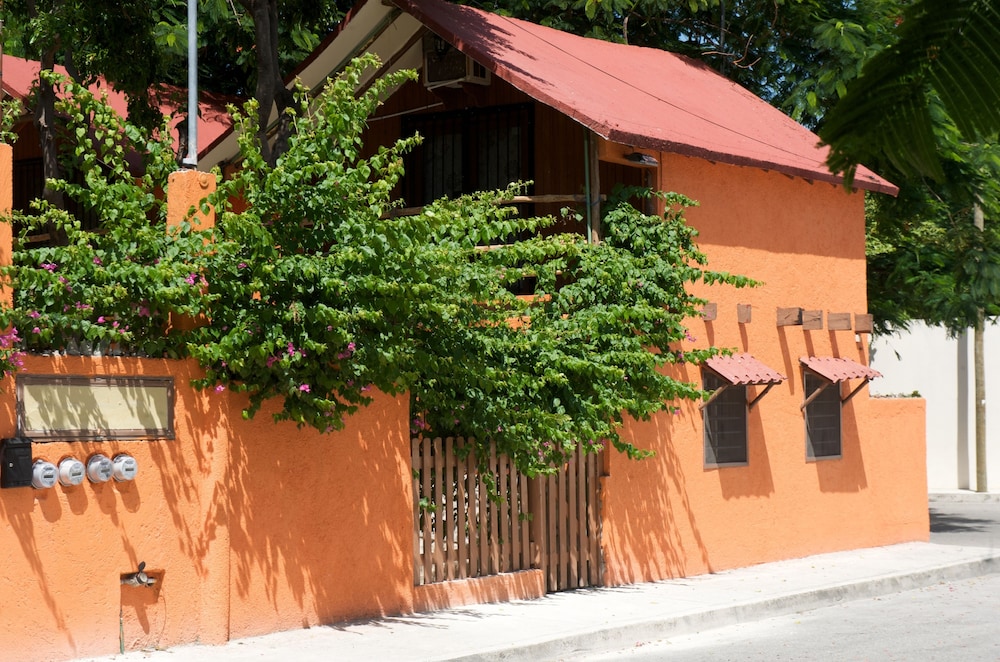 Casa Kiwi