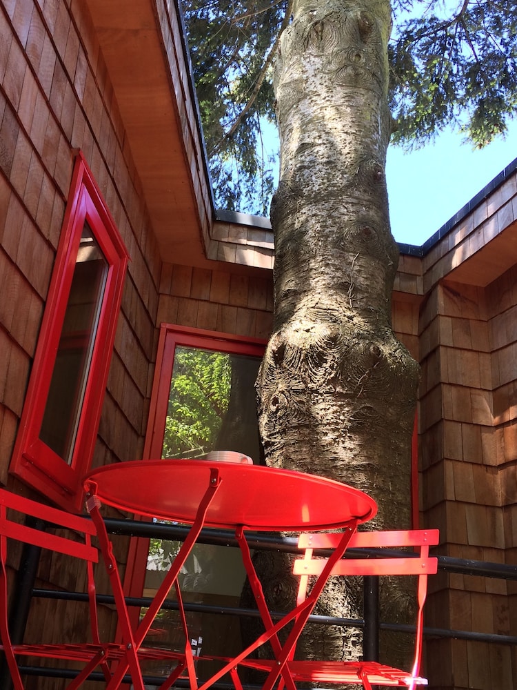 Cabanas Alma Bosque