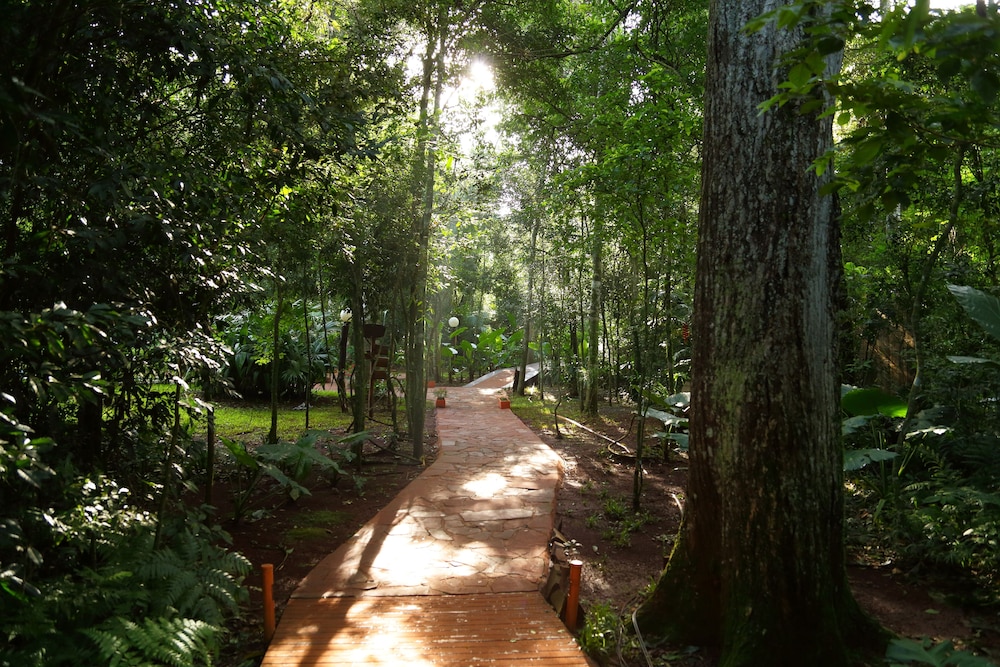 Tierra Guarani Lodge de Selva