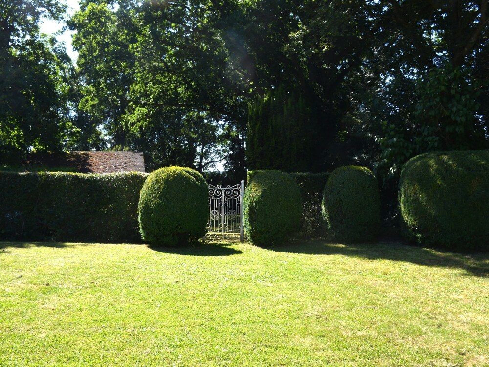 Photo 19