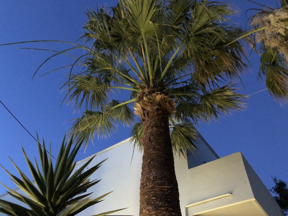 Dragonfly Villas photo 5