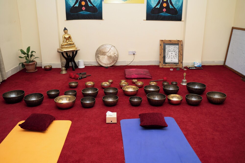 Aarya Wellness & Hostel