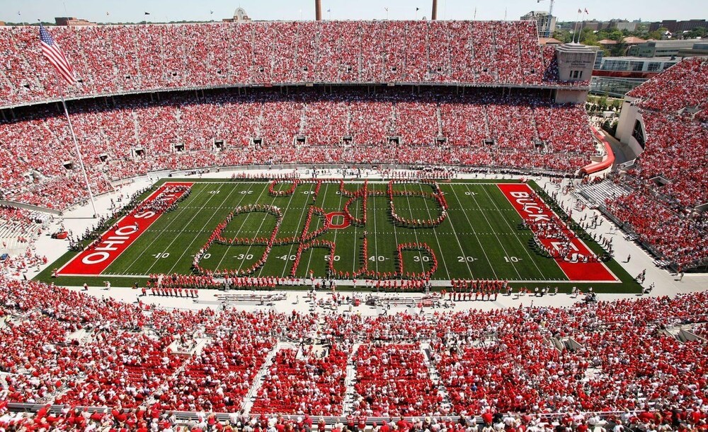 Jungle Casa Uno - Image 4