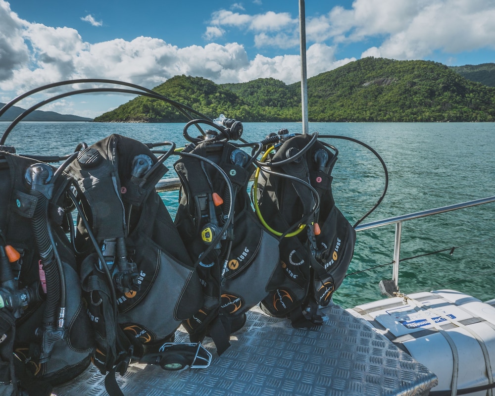 Coral Sea Dreaming Dive and Sail - Image 5