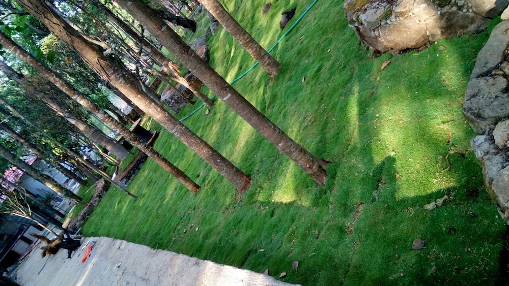 The Brook Resorts & Spa