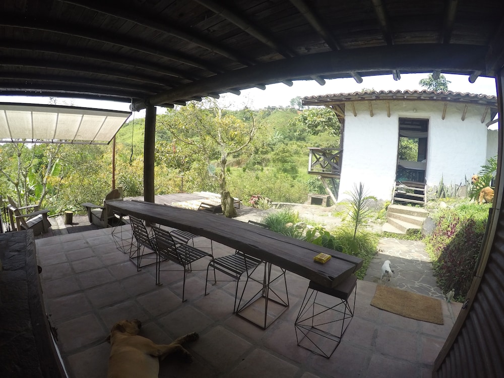 Photo 17