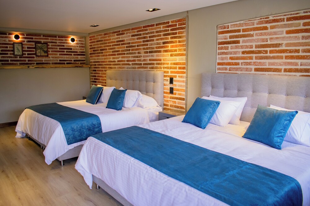 Monarch Campestre