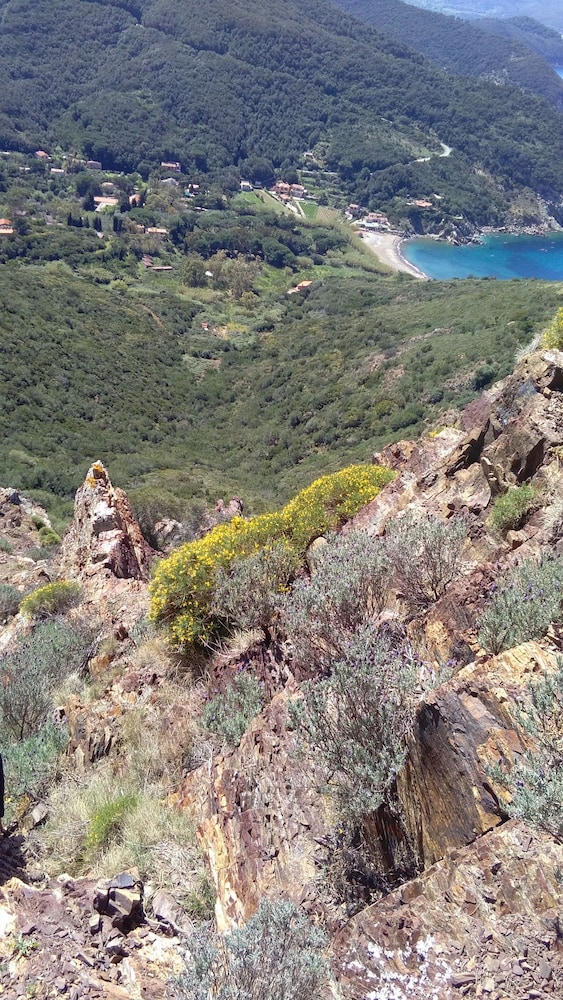 Nisportino Domus