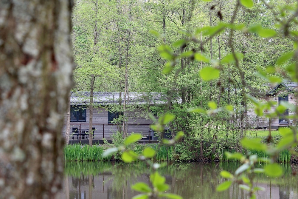 Warren Wood Country Park view 4