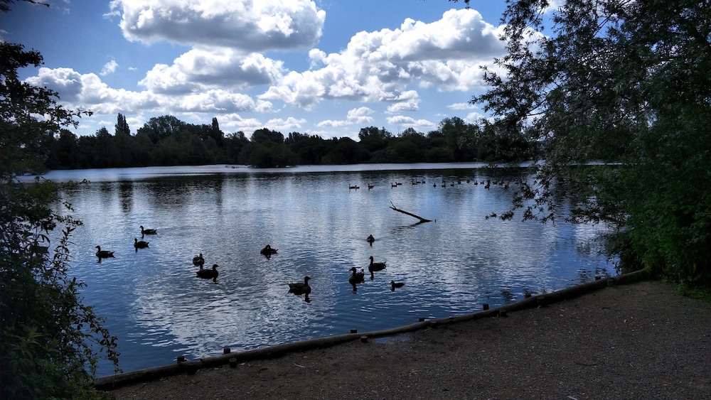 Photo 20
