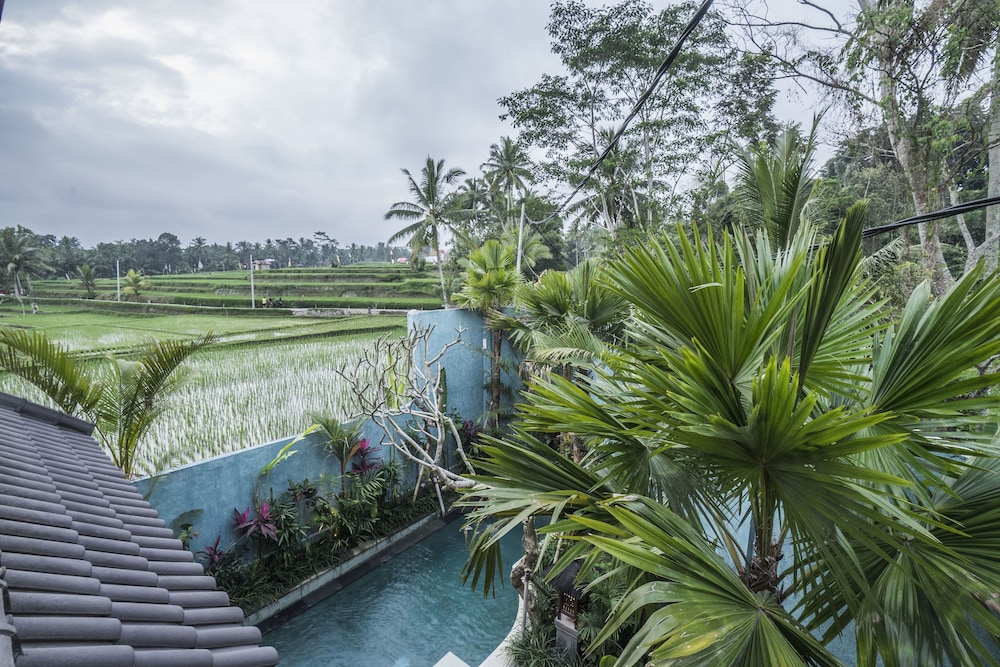 Villa Tanah Carik view 3