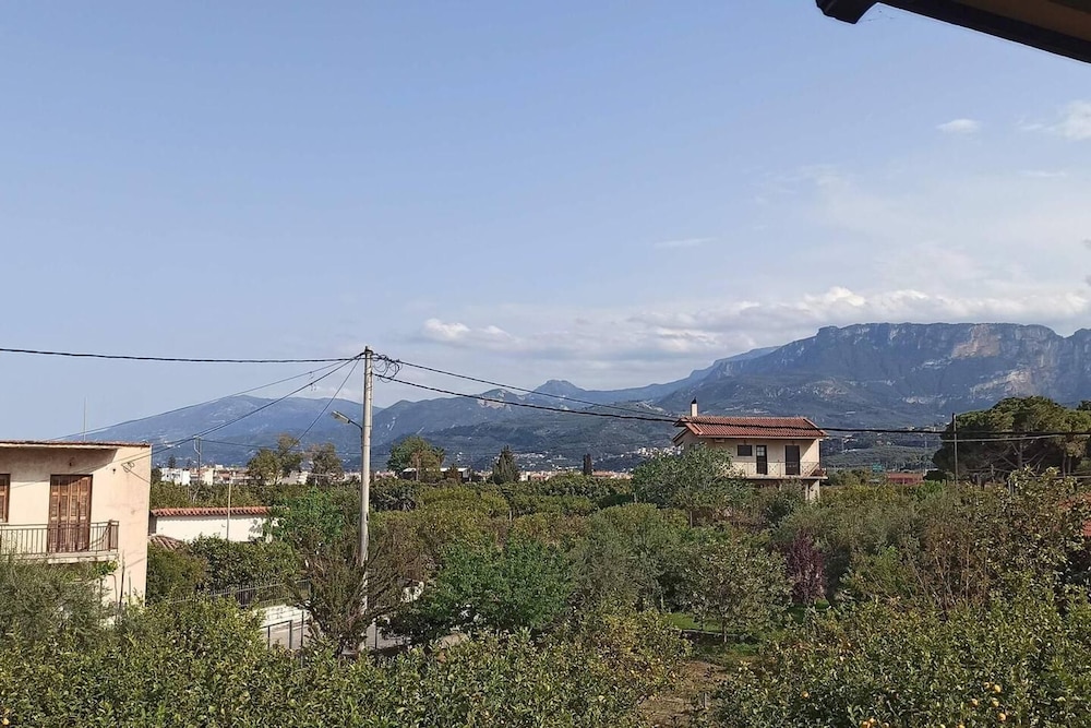 Photo 44
