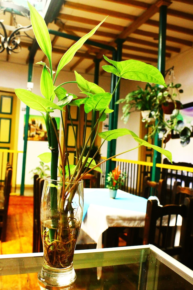 Hotel Geranios - Property Image 3