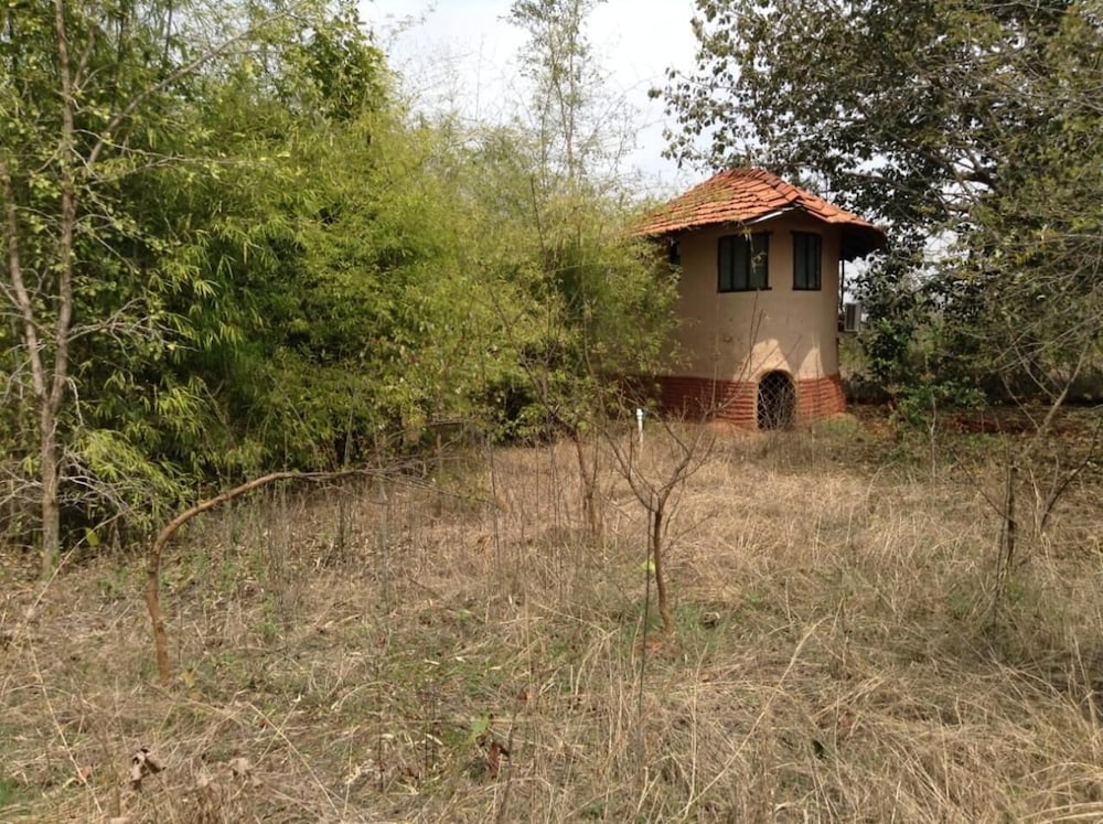 Photo 20