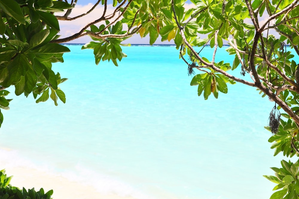 Ahola Thoddoo view 3