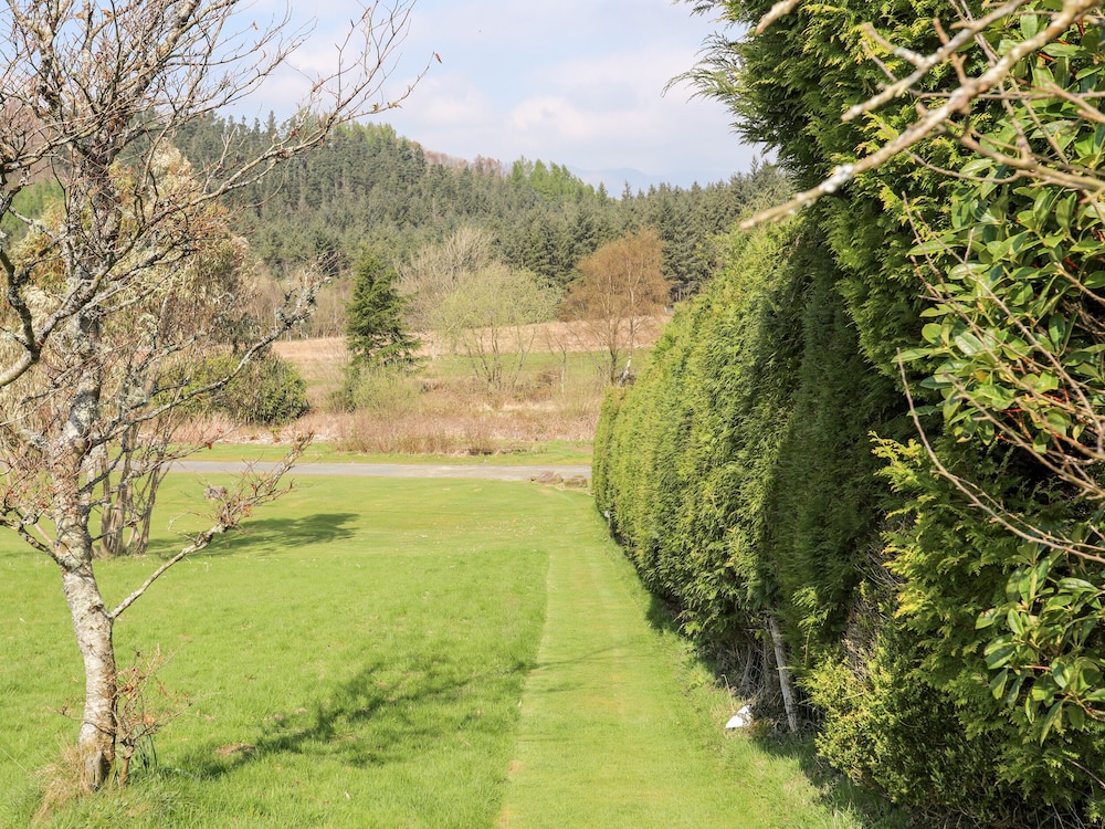 Gilfachwydd