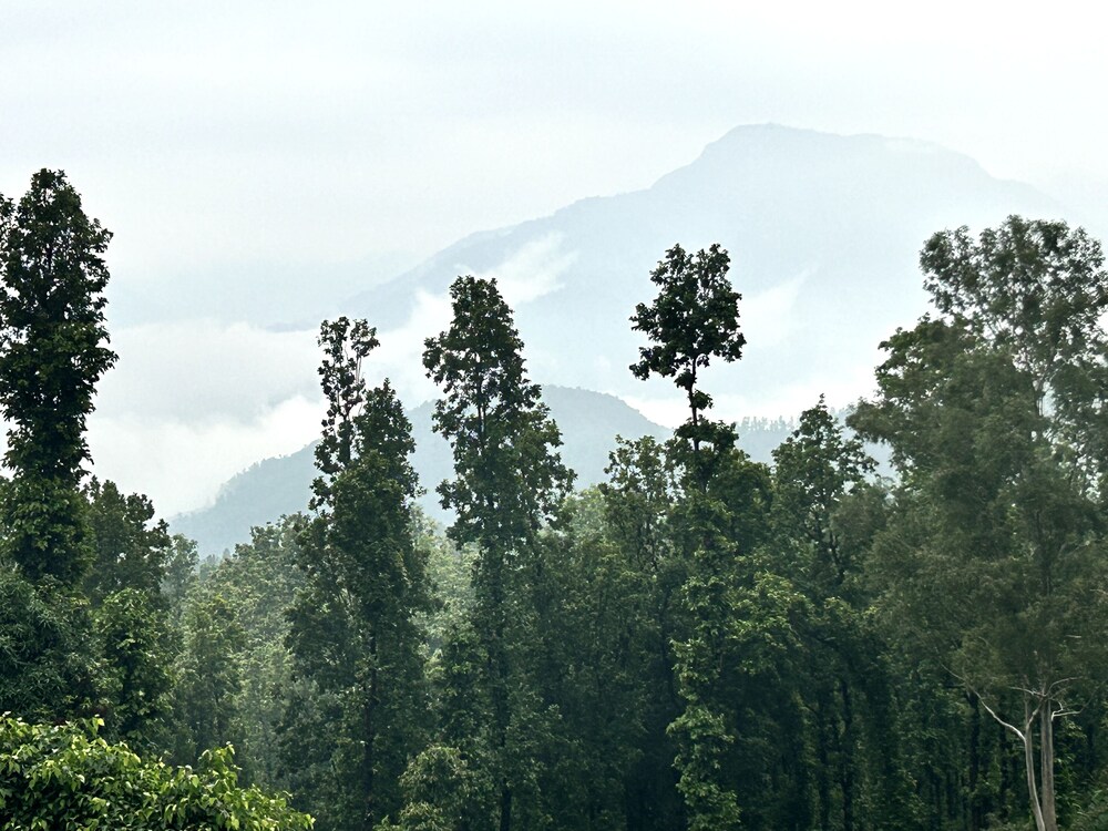 Ekantam Resort