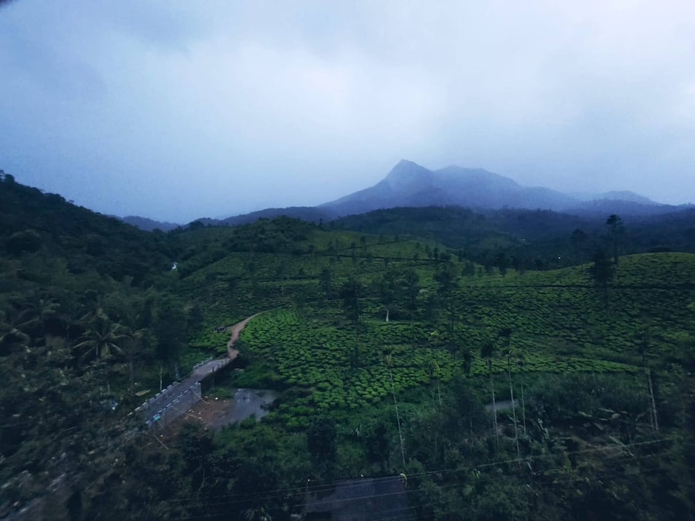 Bungalow With Tea Garden View view 3