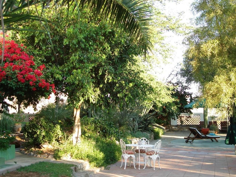Photo 40