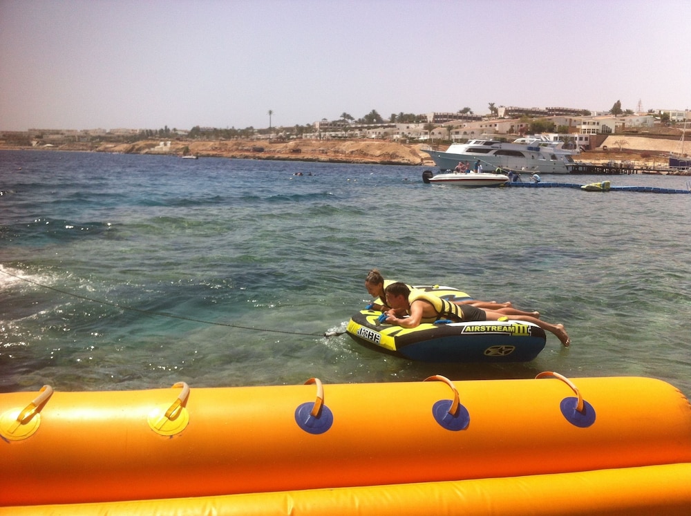 Shark Bay Oasis