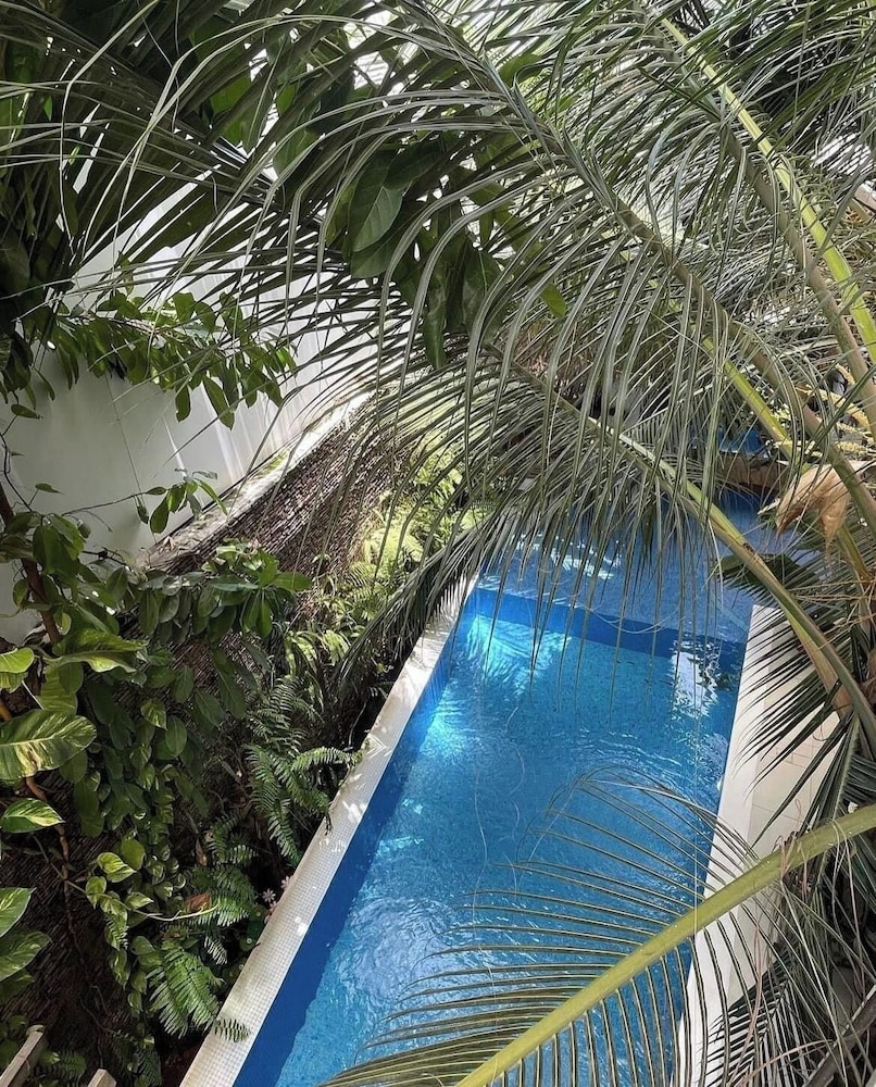 Pool & Wellness
