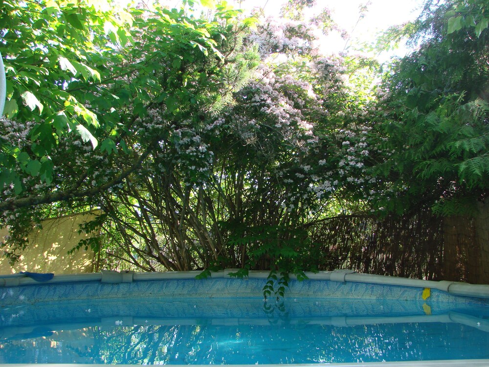 Photo 49