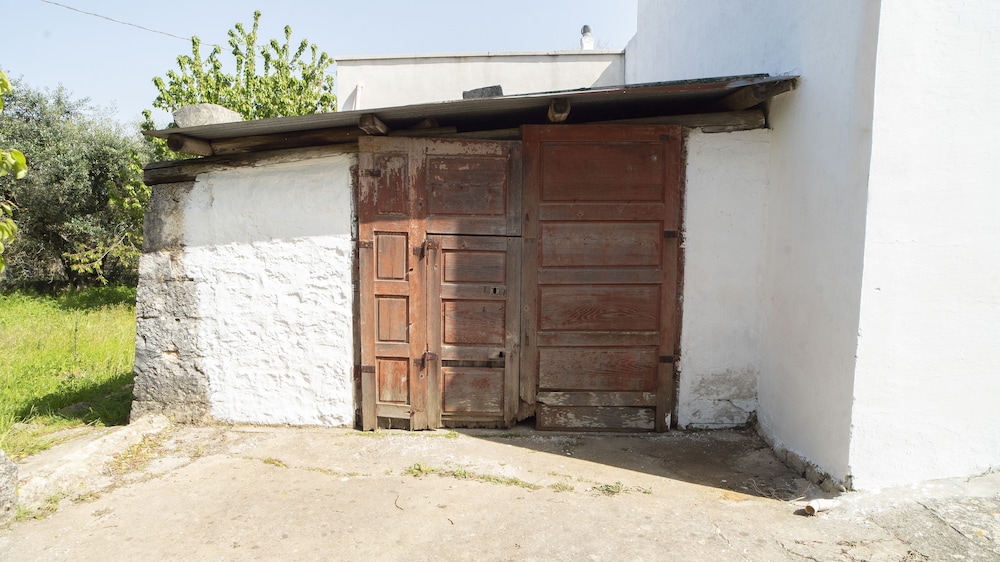 Photo 41