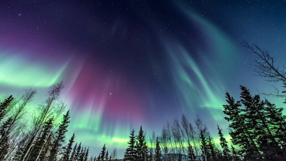 SKOG - Aurora igloos