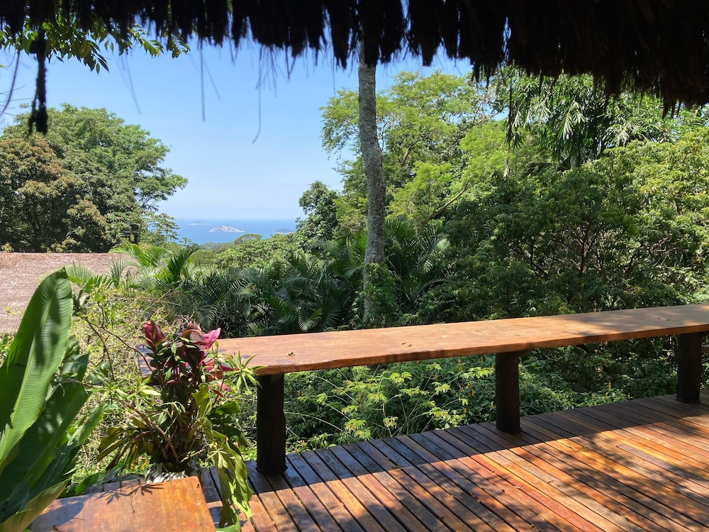 Rainforest Paradise