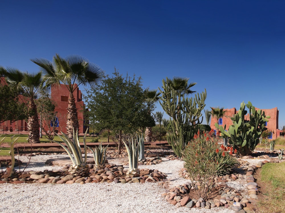Riad Beloiseau