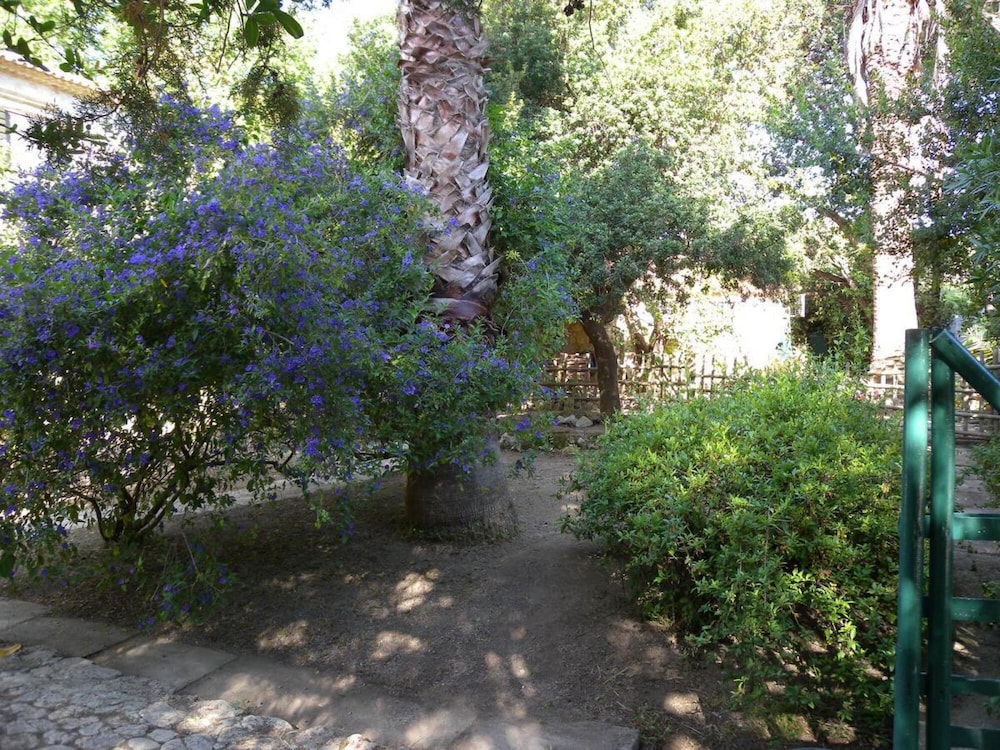 Photo 25