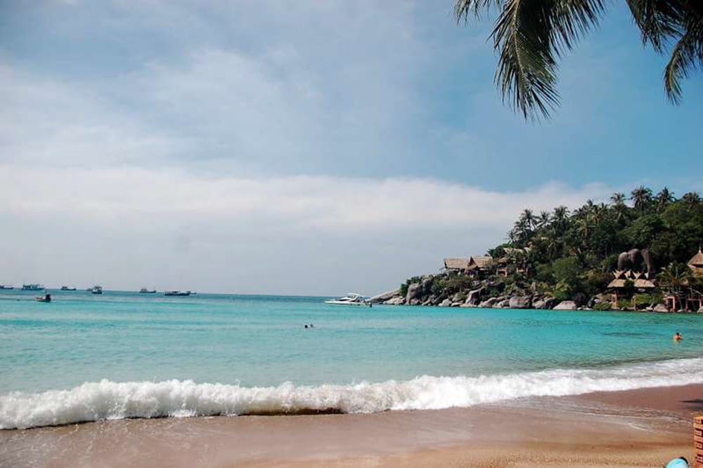 Palm Leaf Resort
