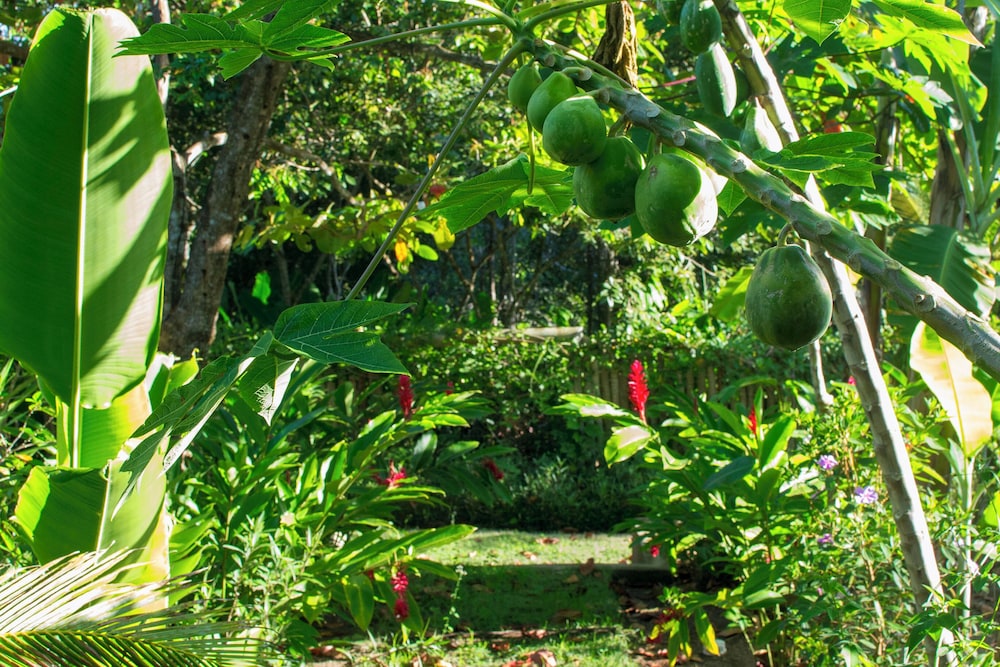 Quinta do Brasil Trancoso