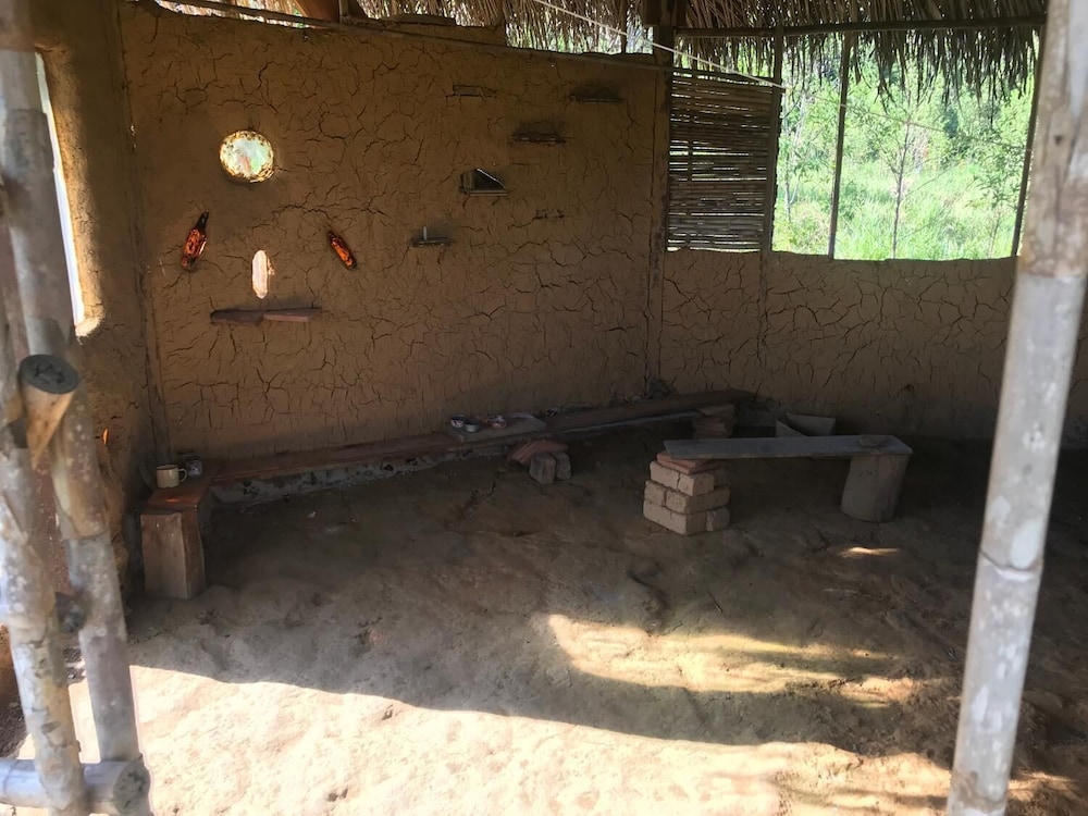 Ayahuaska