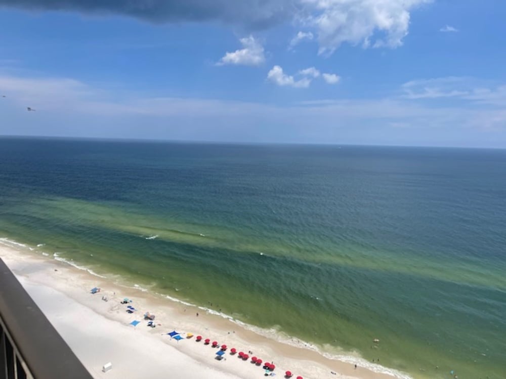 The Oasis at Orange Beach by Hosteeva