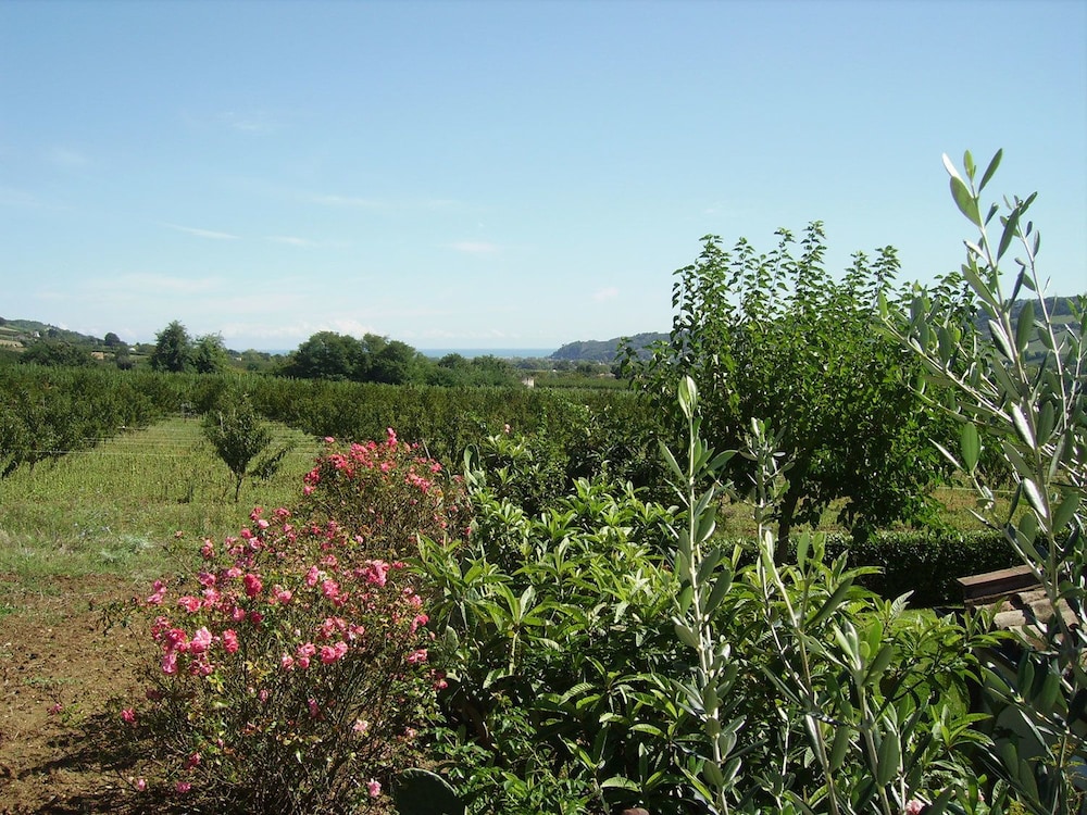 Photo 29