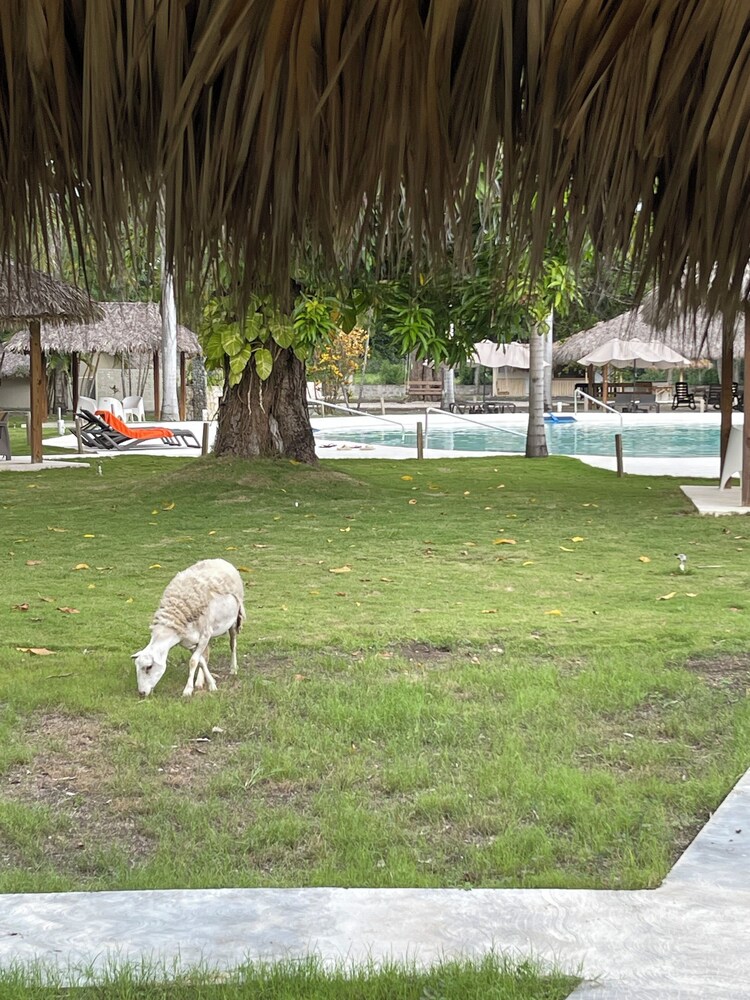 Nizao Beach Lodge