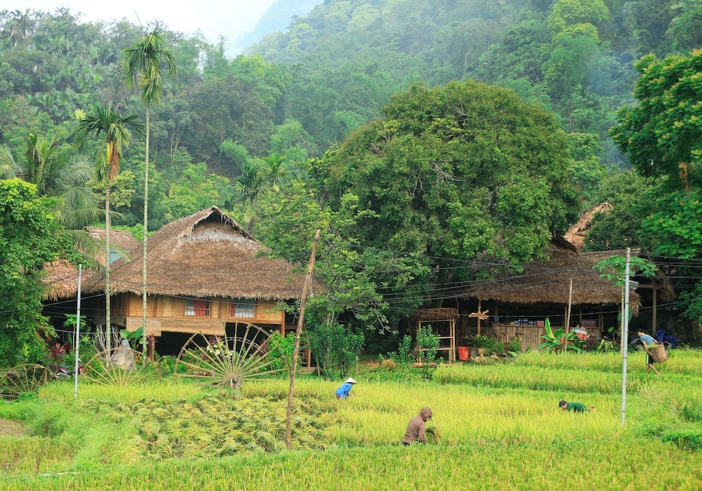 Thai House Pu Luong