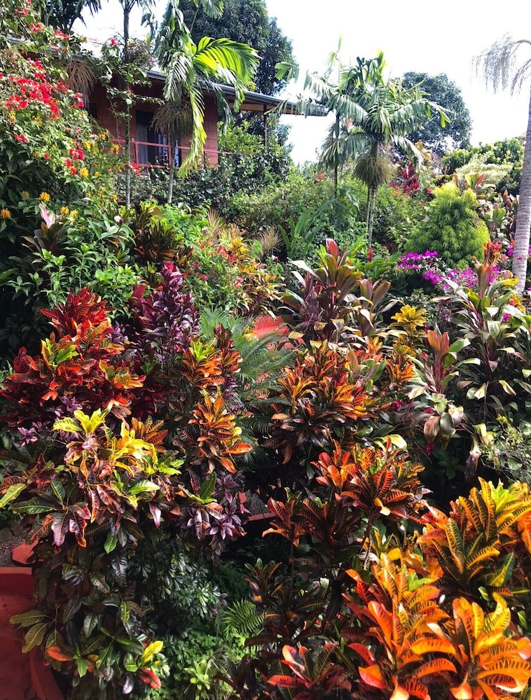 Eden Atenas