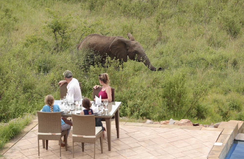 Spirit Of The Masai Mara
